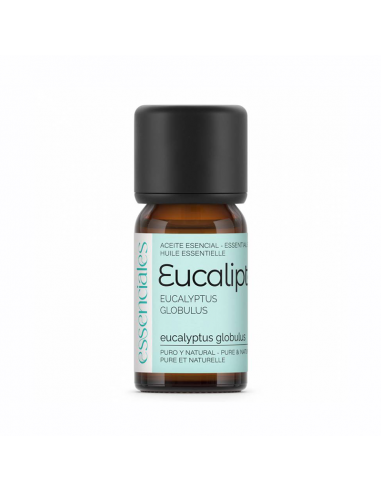 Aceite Esencial de Eucalipto - Essenciales