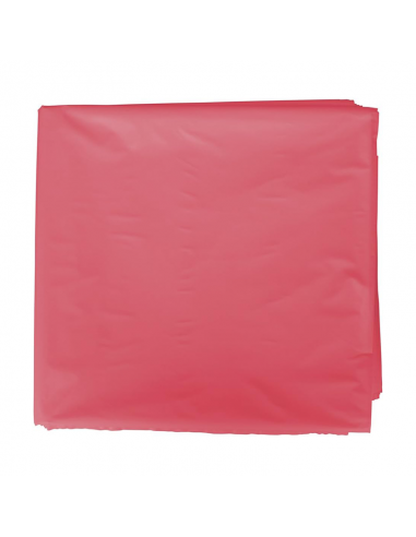 Bolsa Disfraz 65x90cm 25 Uds Colores