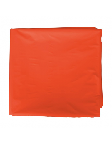 Disfraz Bolsa 56x70cm 25 Uds Colores